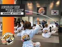 Tiger Sun Martial Arts image 6